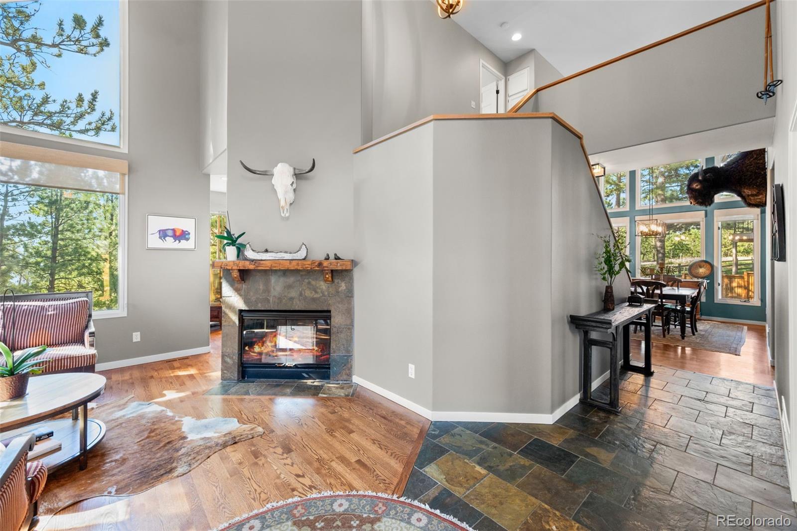 MLS Image #6 for 29972  troutdale ridge road,evergreen, Colorado