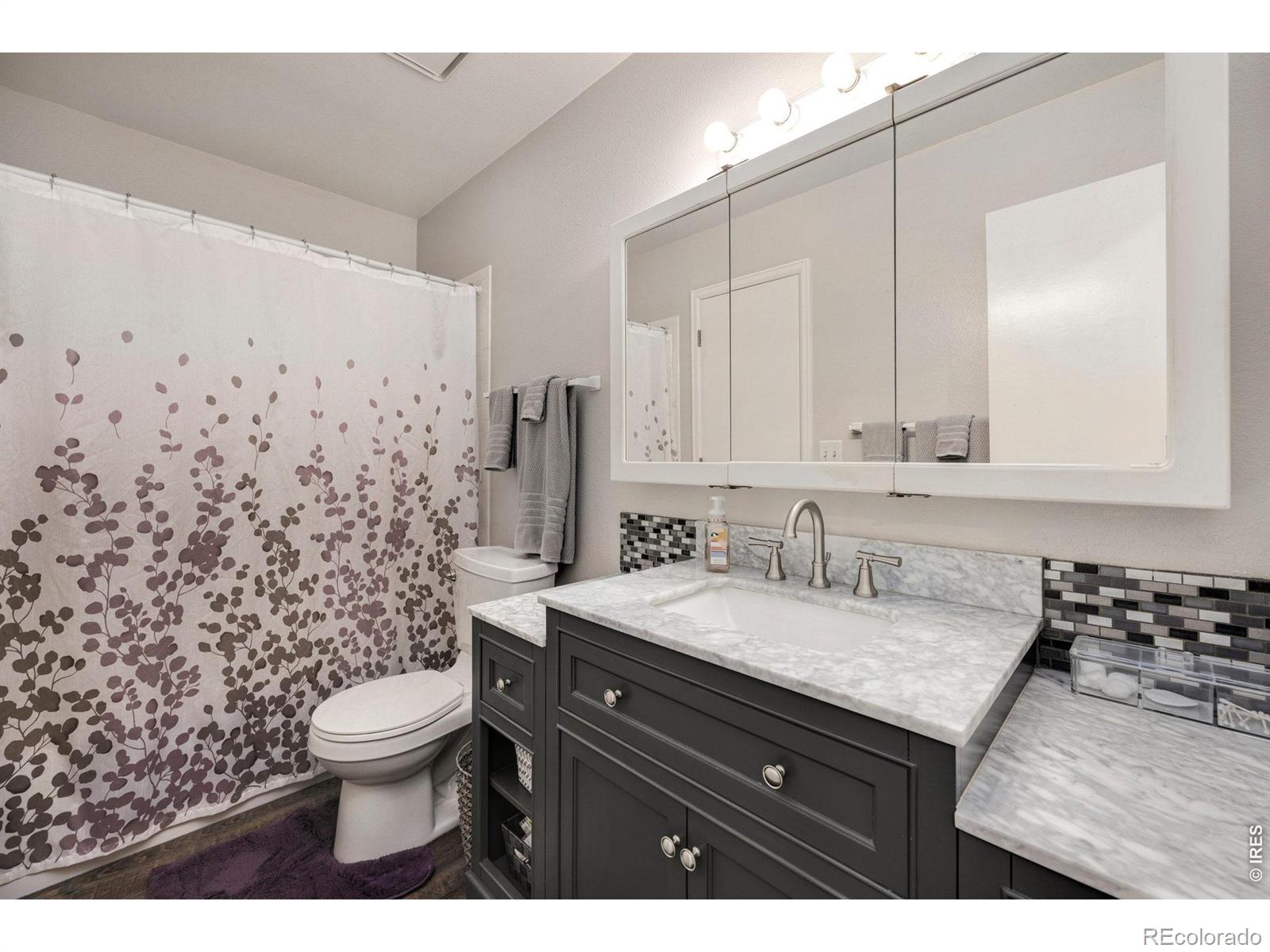 MLS Image #3 for 4224  table mountain place,fort collins, Colorado