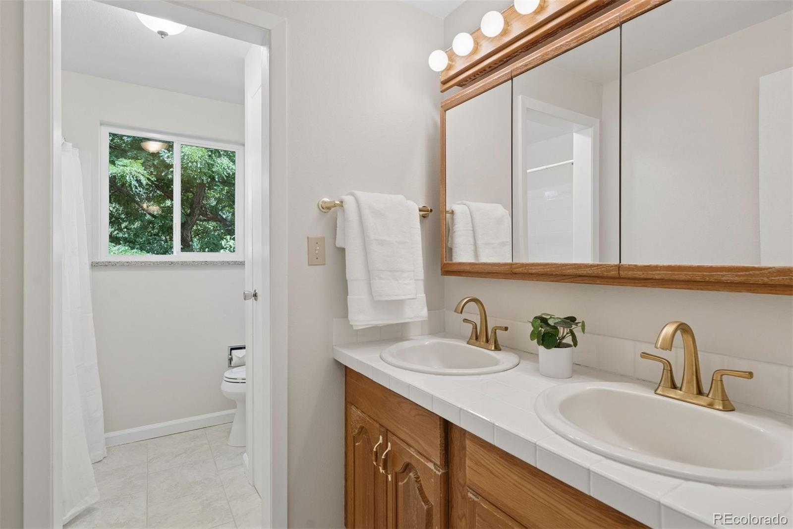 MLS Image #24 for 6256 s cook street,centennial, Colorado