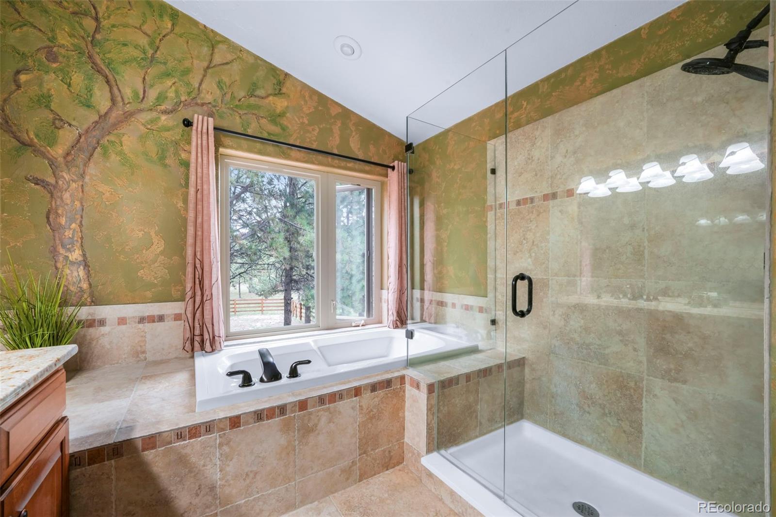 MLS Image #25 for 720  trumpeters court,monument, Colorado