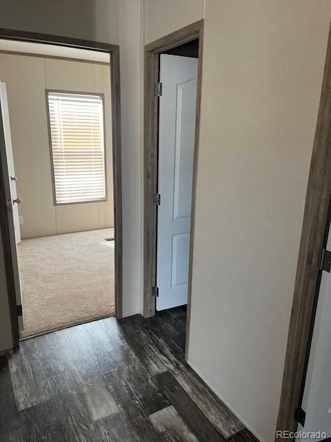 MLS Image #37 for 76760  lewis smith road,fort garland, Colorado