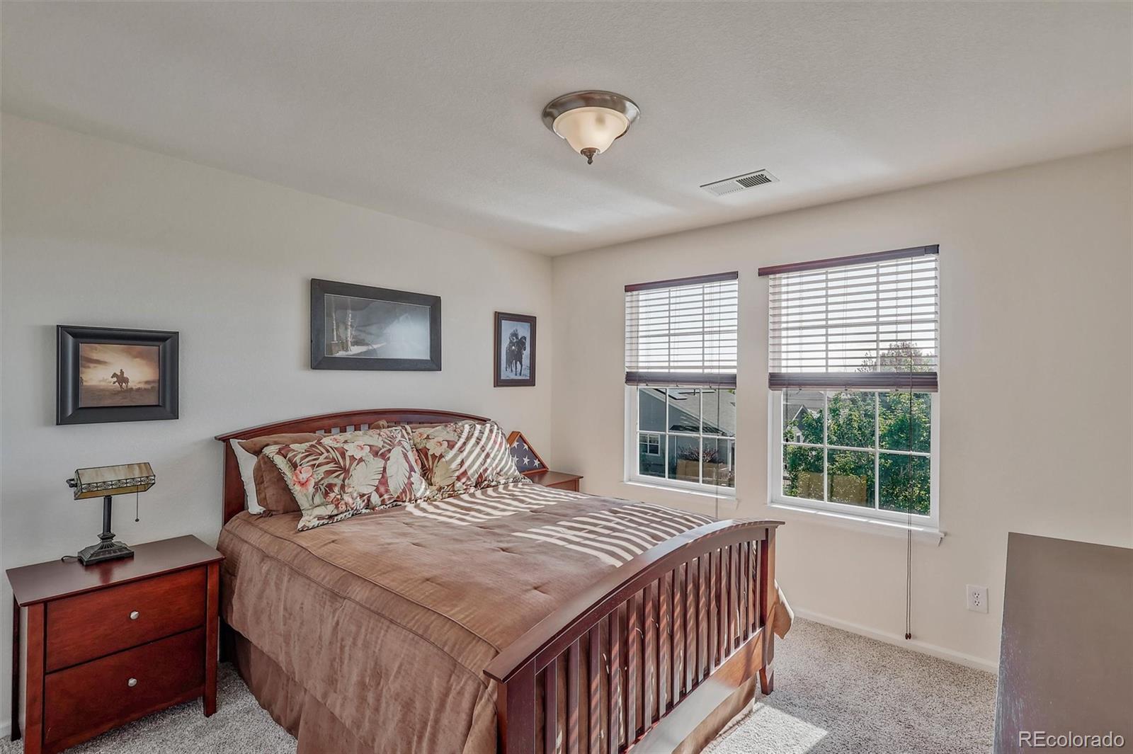 MLS Image #17 for 11691  pink phlox drive,parker, Colorado