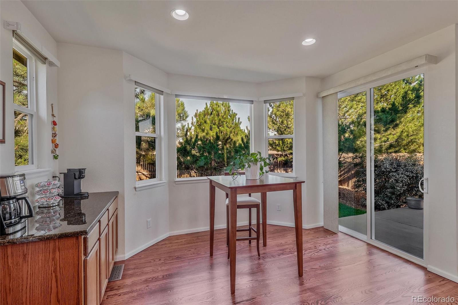 MLS Image #9 for 11691  pink phlox drive,parker, Colorado