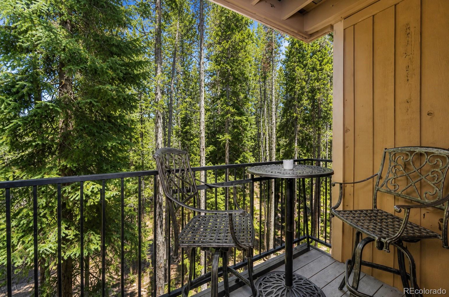 MLS Image #4 for 210  702 ,winter park, Colorado