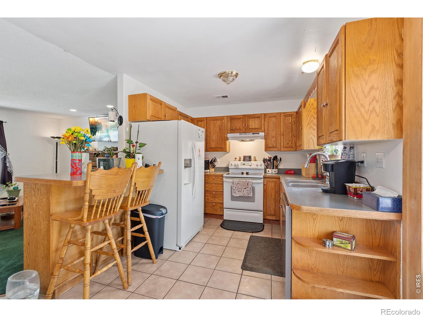 MLS Image #11 for 4409  julian court,fort collins, Colorado