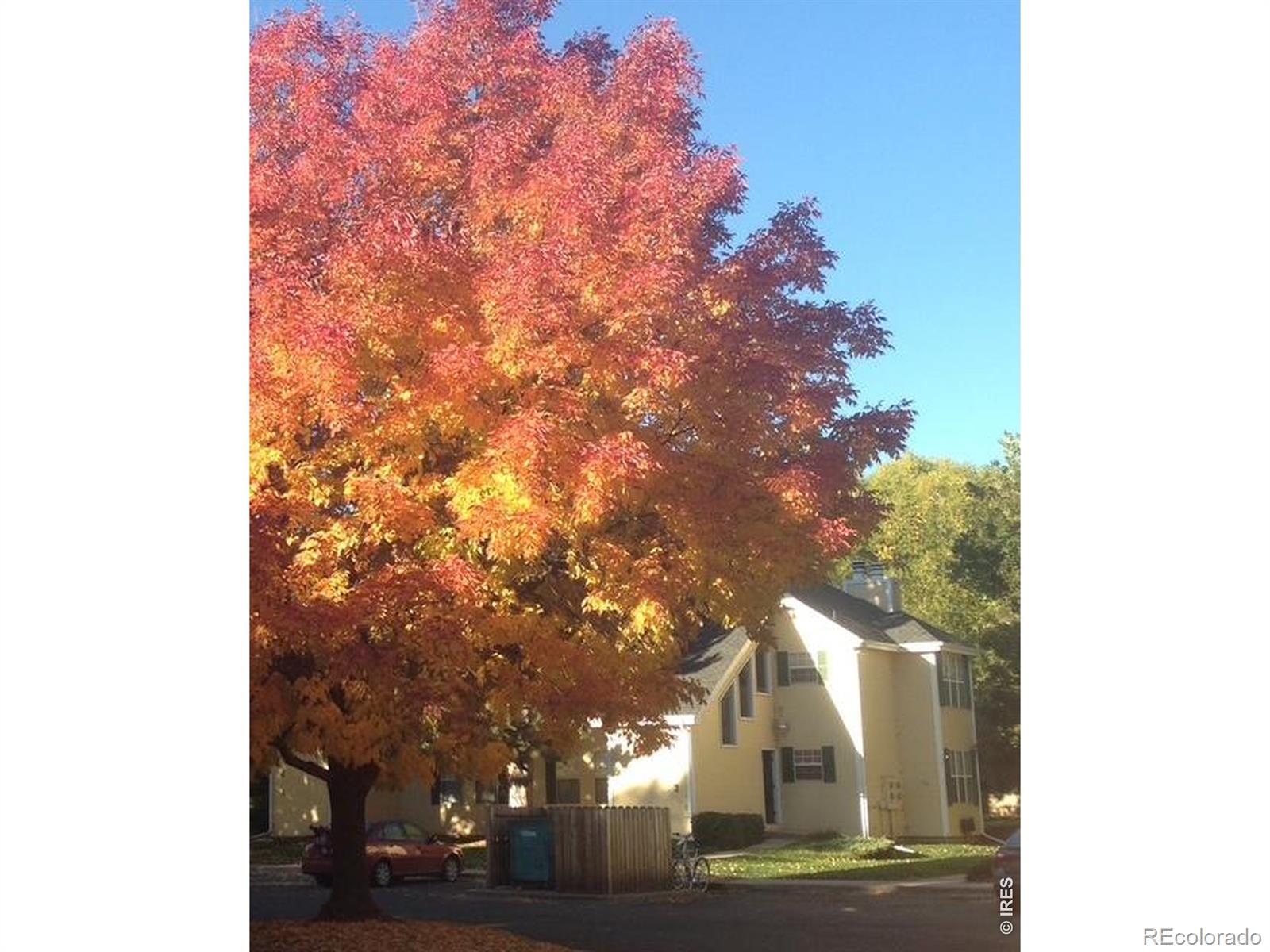 MLS Image #41 for 1300 w stuart street,fort collins, Colorado