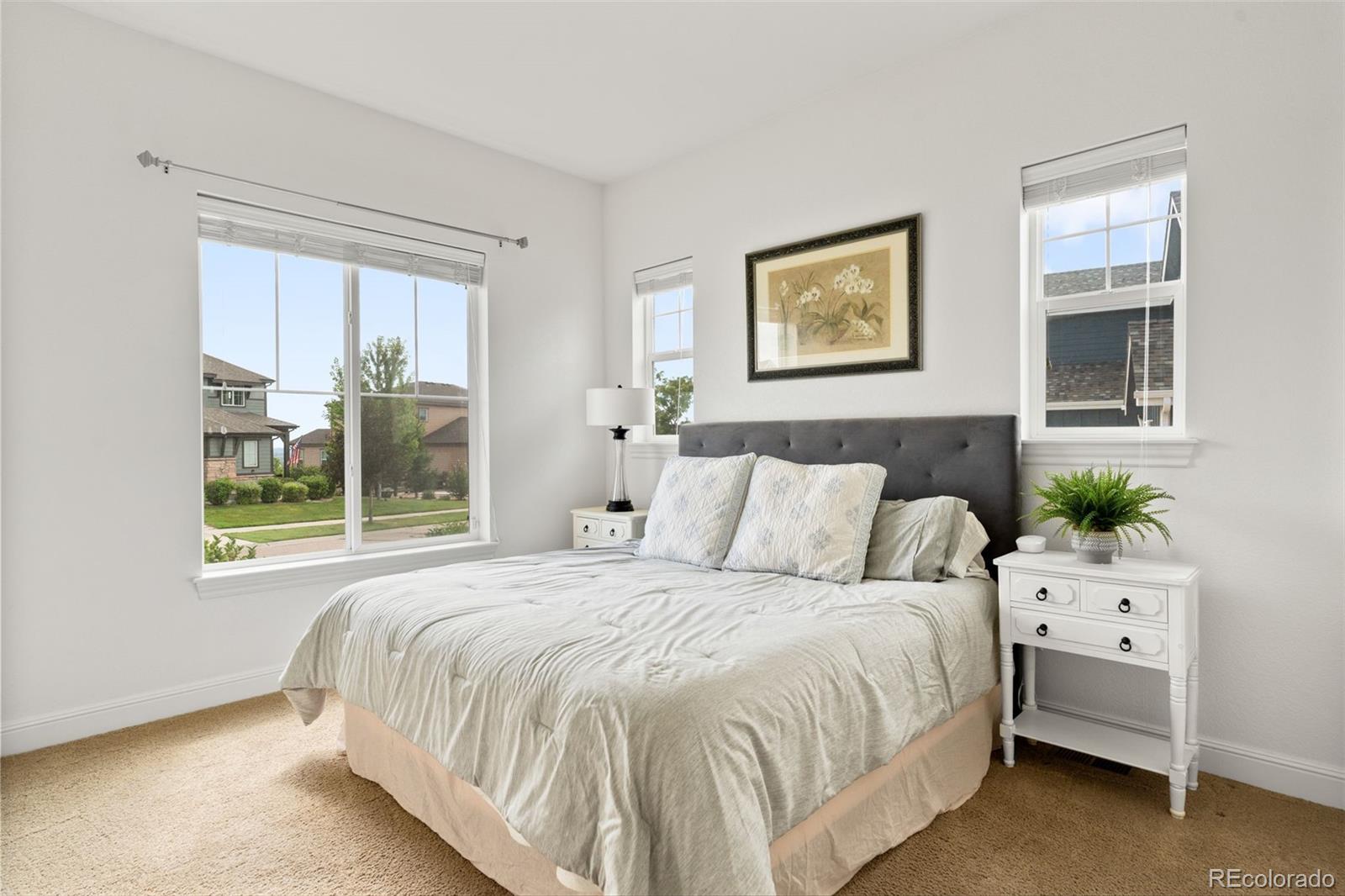 MLS Image #18 for 8465  poppy street,arvada, Colorado
