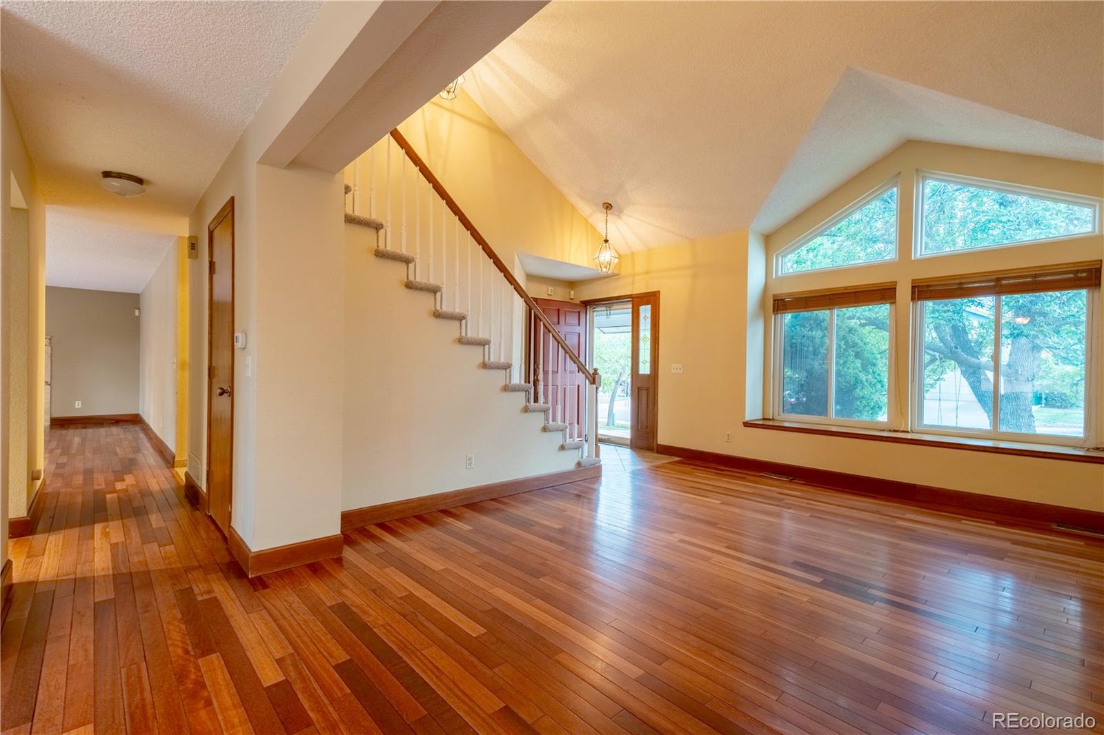 MLS Image #4 for 11  jack rabbit place,littleton, Colorado