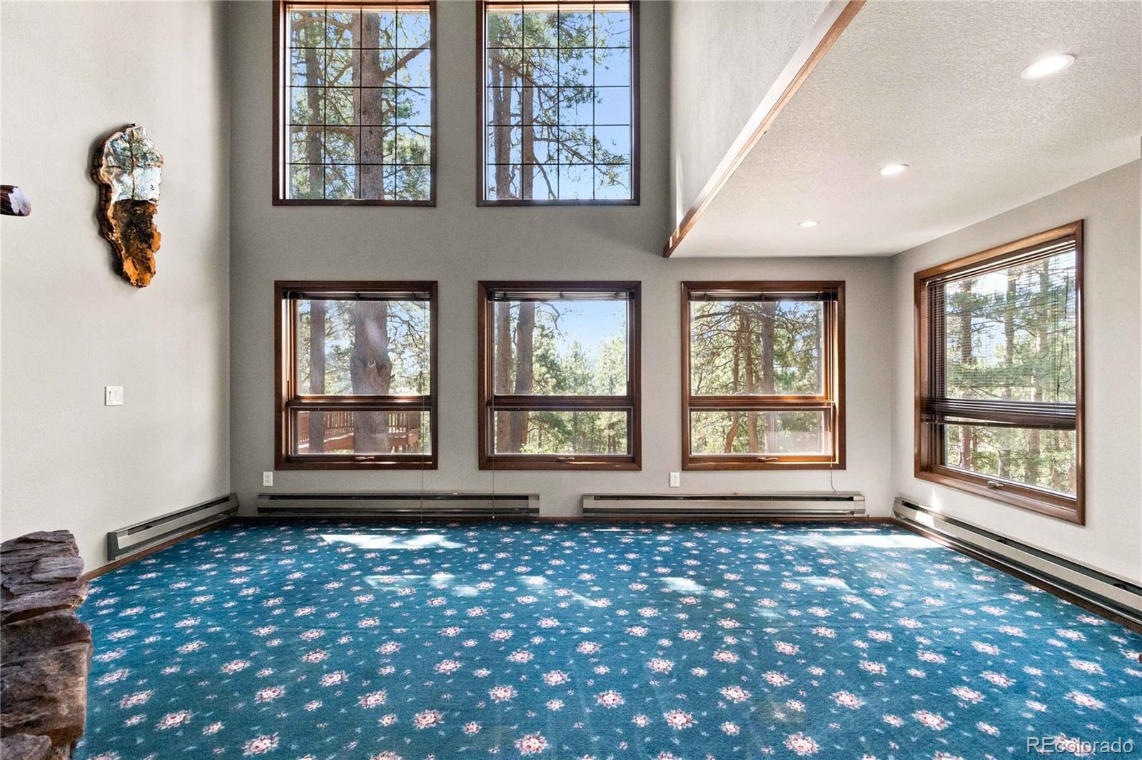 MLS Image #14 for 6283  starlight drive,morrison, Colorado