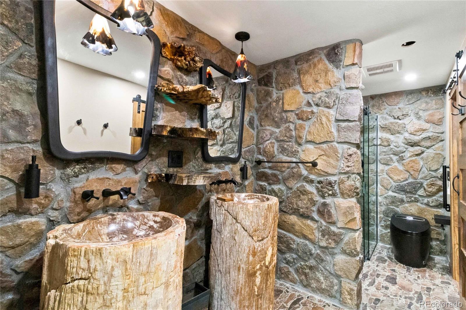 MLS Image #20 for 6283  starlight drive,morrison, Colorado