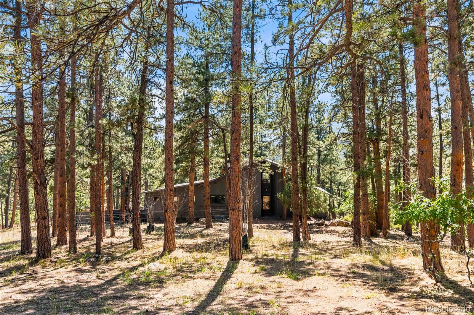 MLS Image #33 for 6283  starlight drive,morrison, Colorado