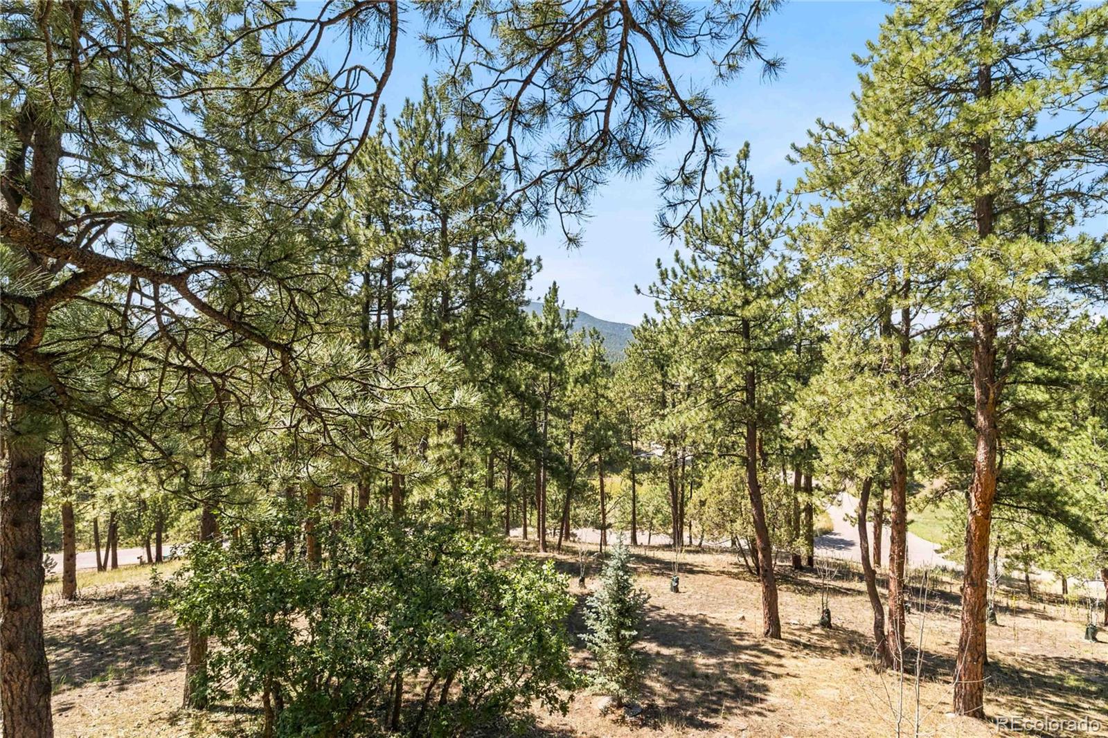MLS Image #4 for 6283  starlight drive,morrison, Colorado