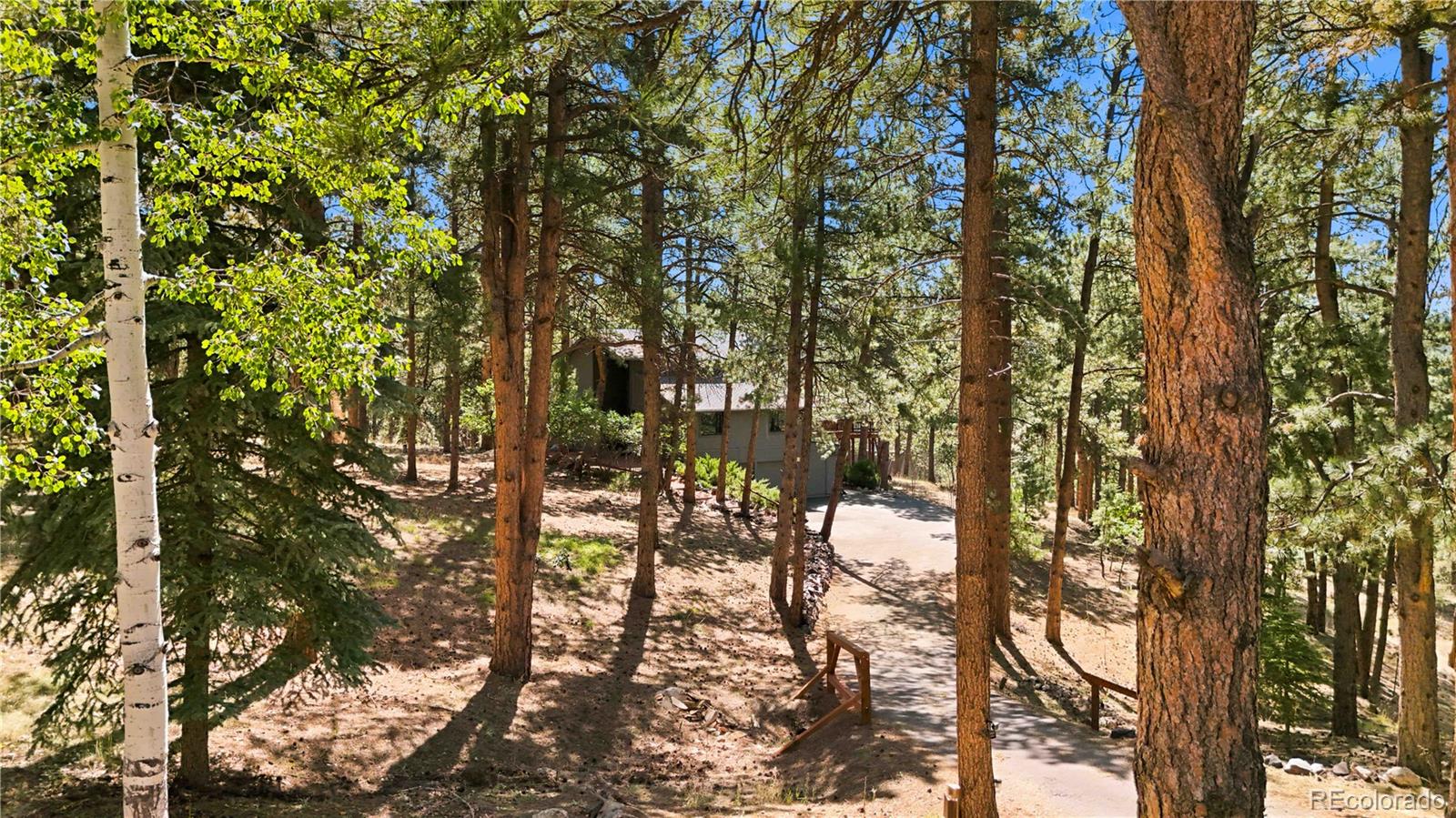 MLS Image #42 for 6283  starlight drive,morrison, Colorado