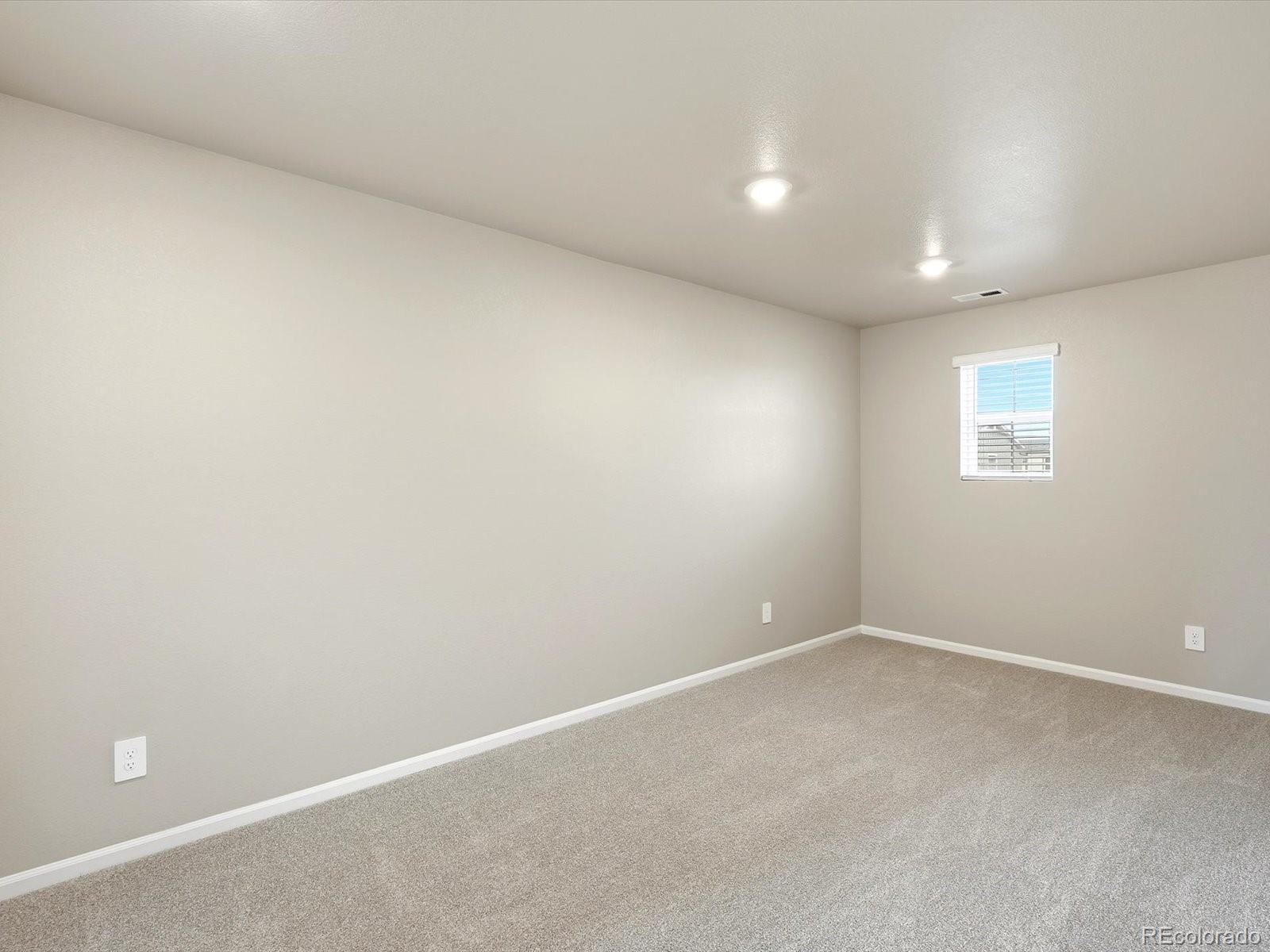 MLS Image #13 for 1679  yampa river drive,windsor, Colorado