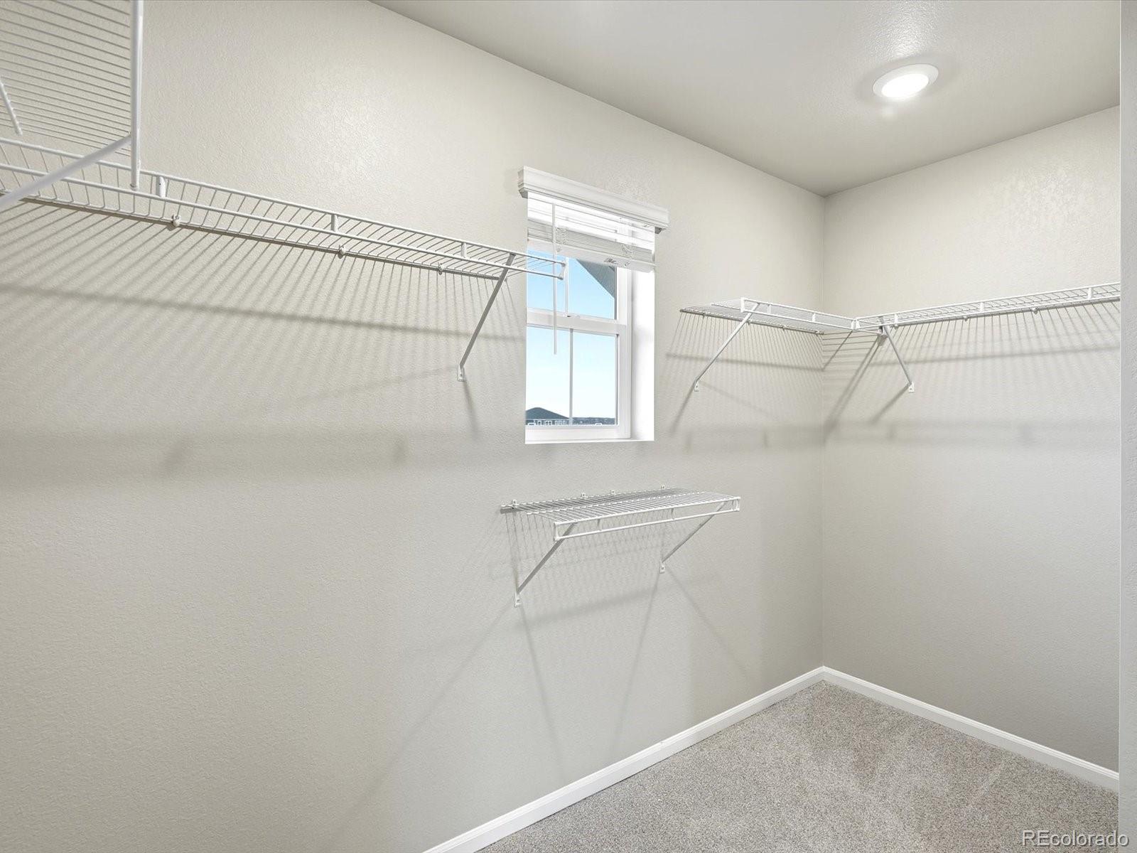 MLS Image #18 for 1679  yampa river drive,windsor, Colorado