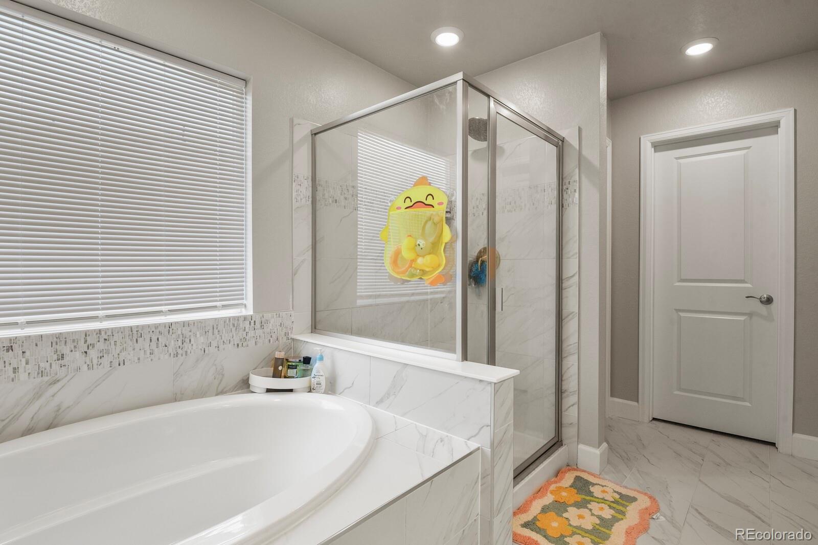 MLS Image #23 for 13386  waterthrush ,parker, Colorado