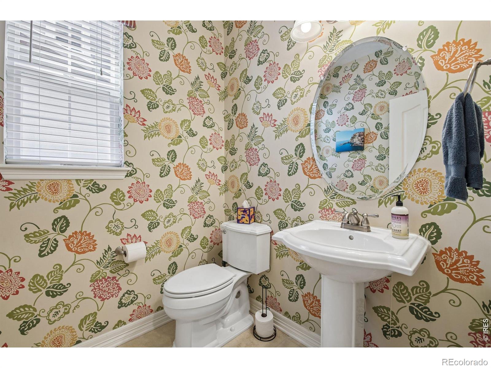 MLS Image #10 for 1413  graham circle,erie, Colorado