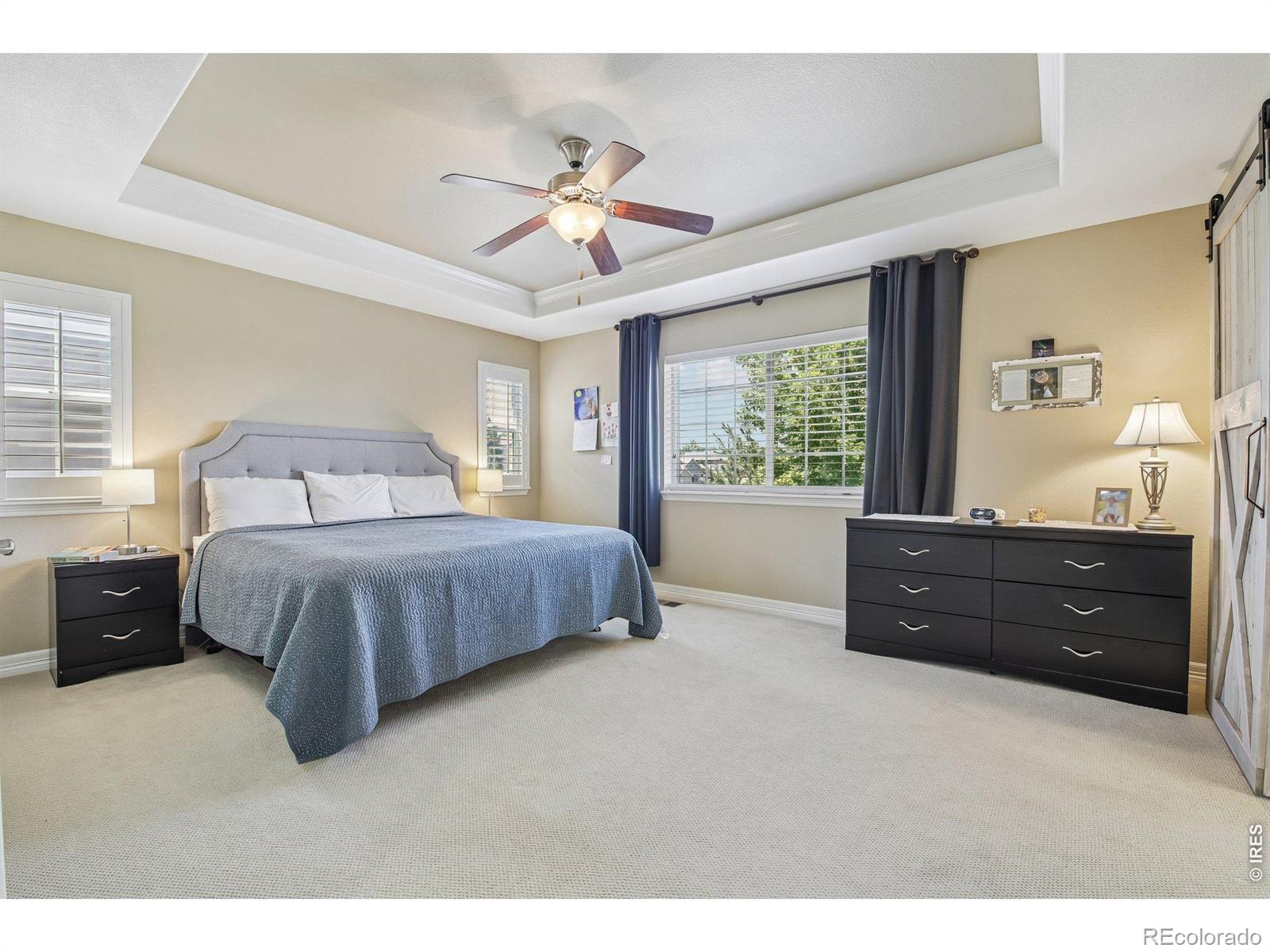MLS Image #13 for 1413  graham circle,erie, Colorado