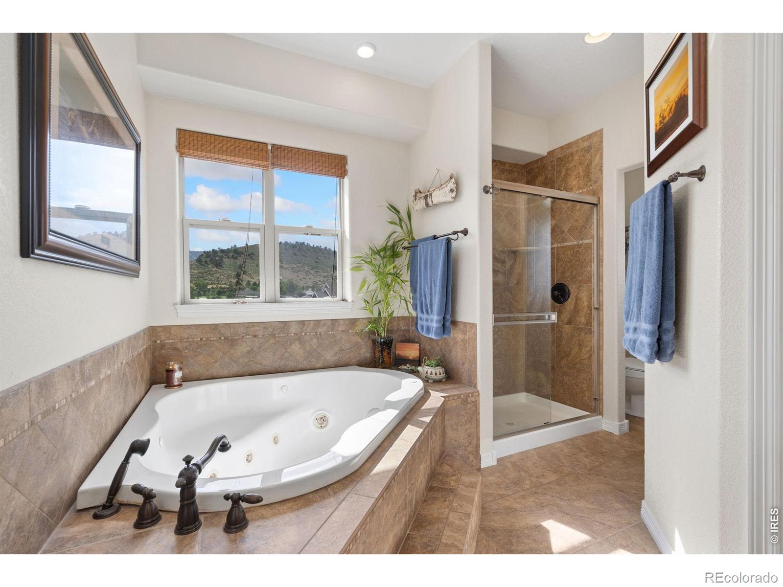 MLS Image #14 for 7751  bison bluff street,loveland, Colorado