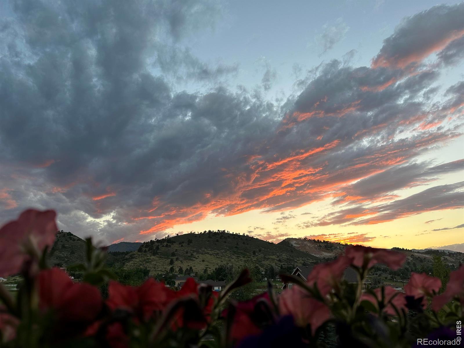 MLS Image #44 for 7751  bison bluff street,loveland, Colorado