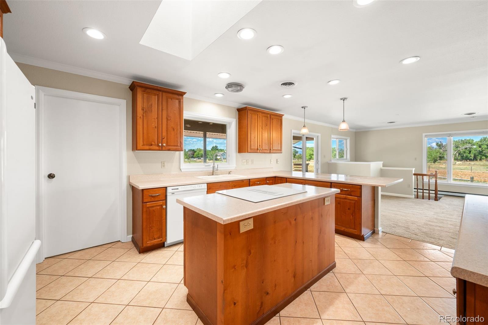 MLS Image #4 for 14823  jackson street,brighton, Colorado