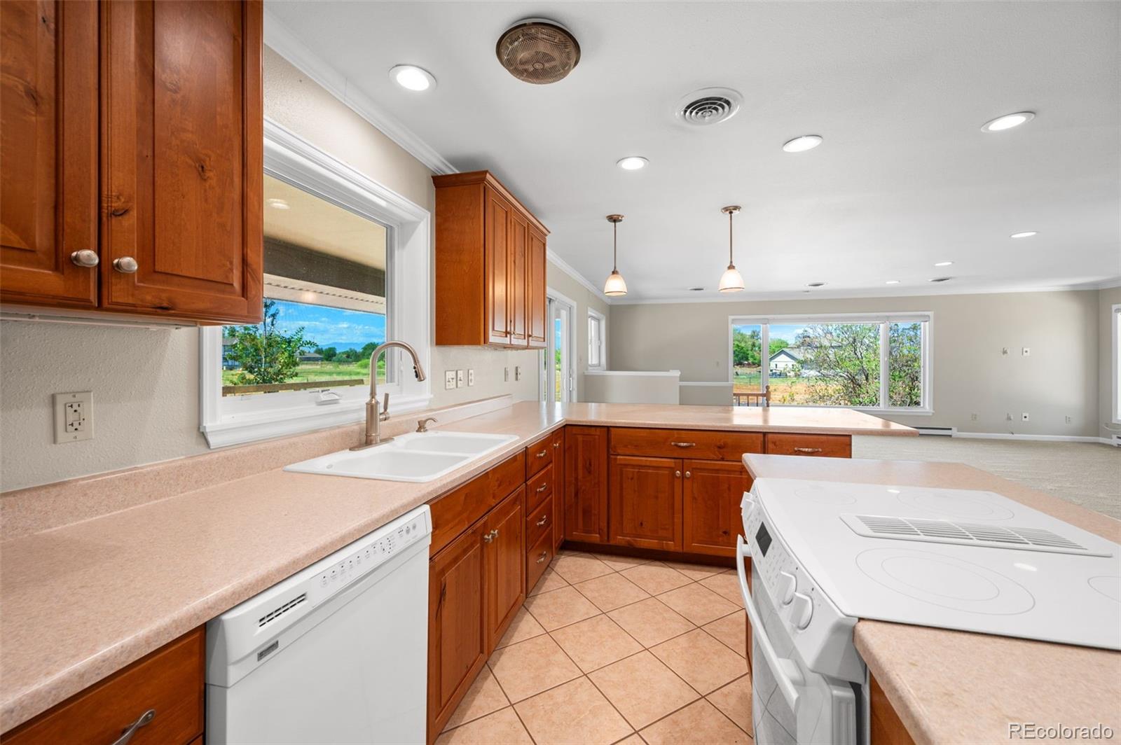 MLS Image #5 for 14823  jackson street,brighton, Colorado