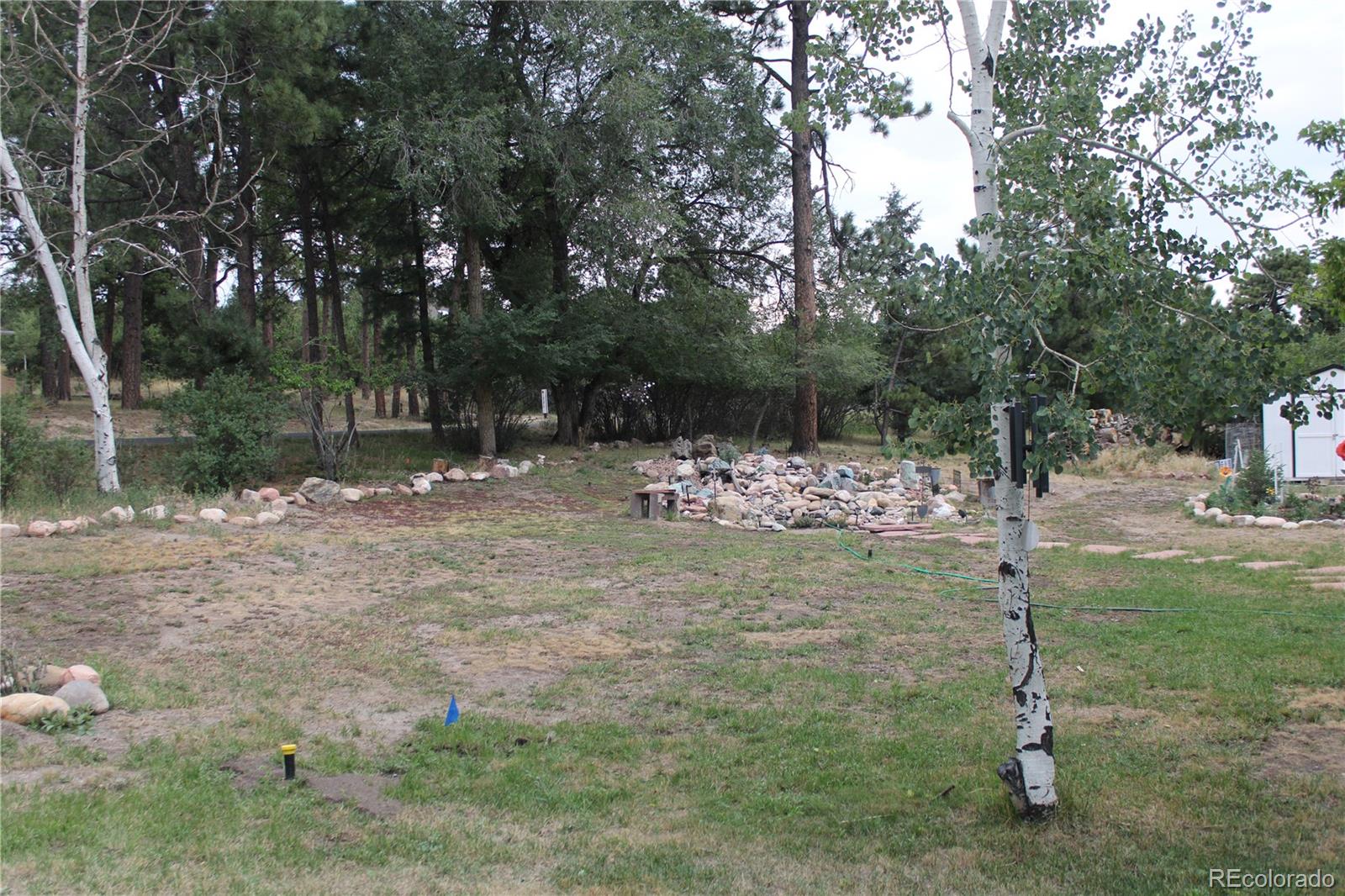 MLS Image #38 for 1350  woodmoor drive,monument, Colorado