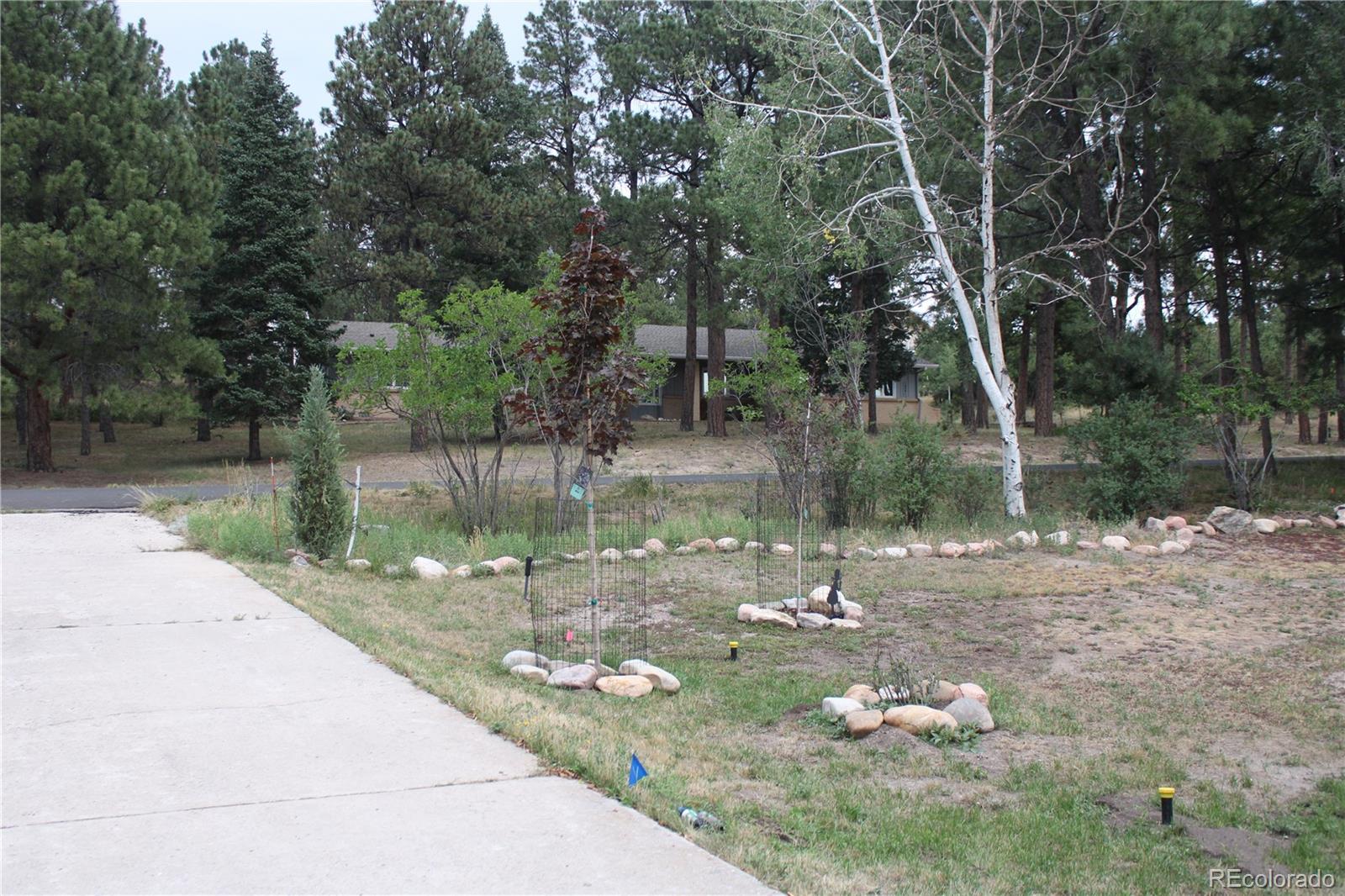 MLS Image #42 for 1350  woodmoor drive,monument, Colorado