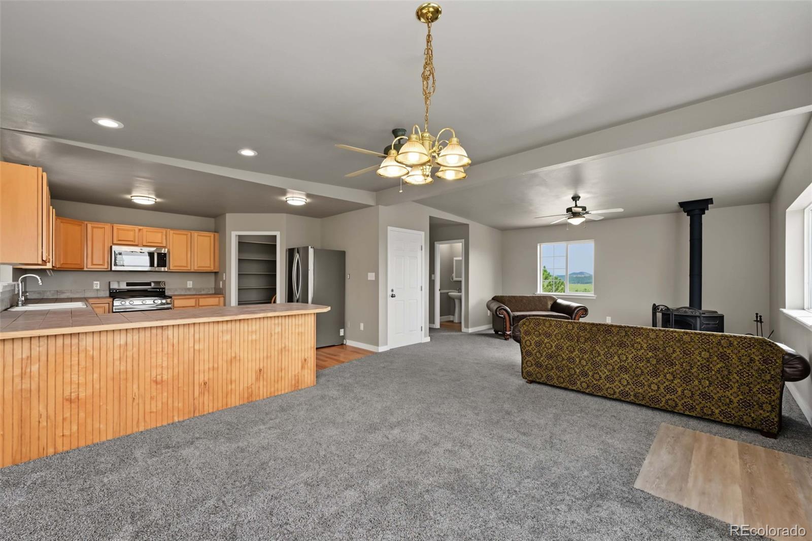 MLS Image #10 for 141  hiawatha circle,hartsel, Colorado