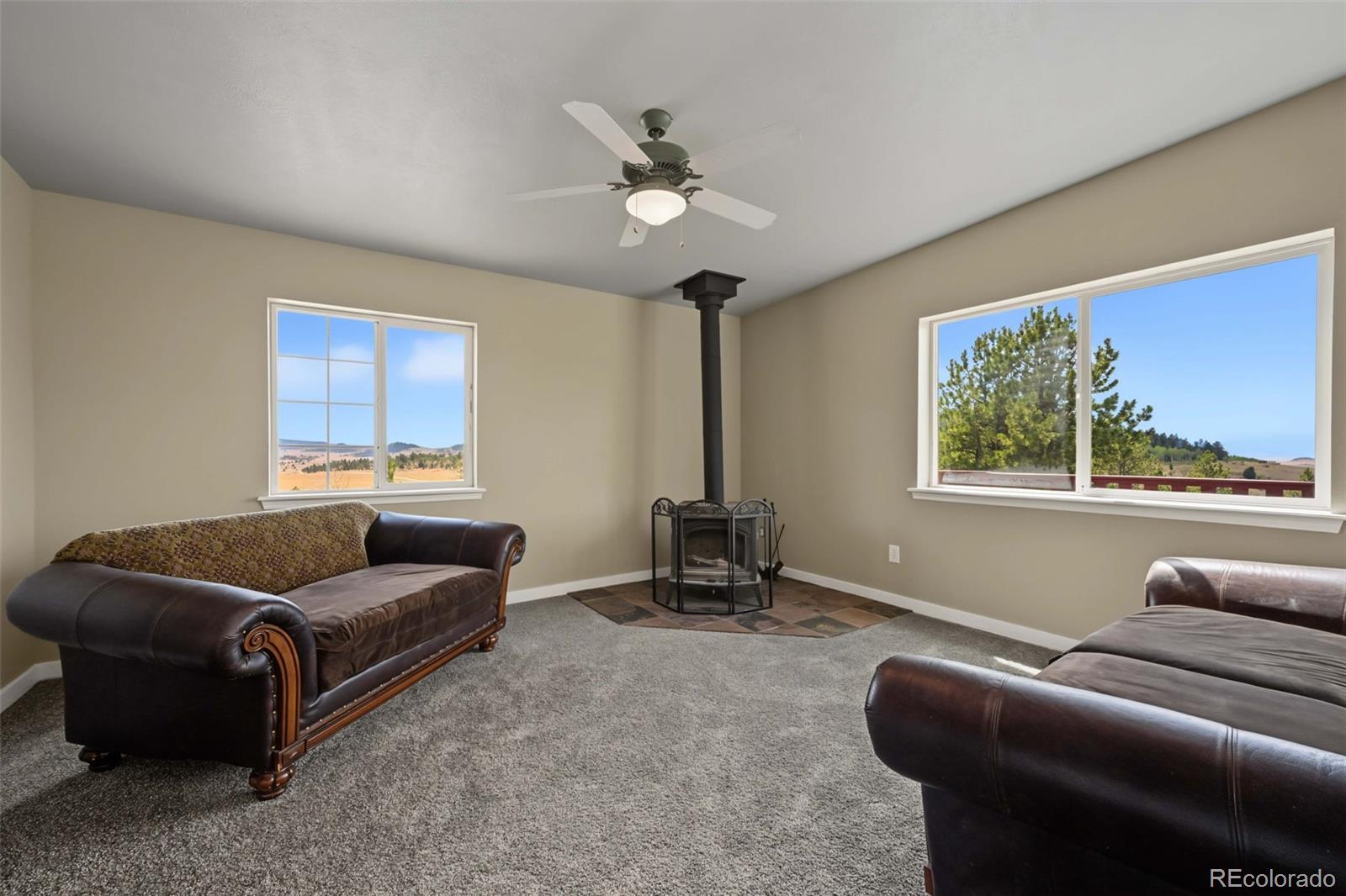 MLS Image #15 for 141  hiawatha circle,hartsel, Colorado