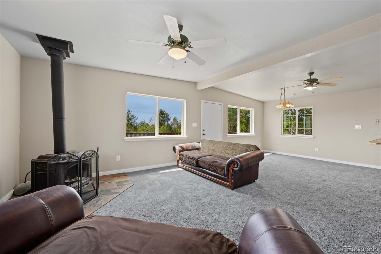 MLS Image #16 for 141  hiawatha circle,hartsel, Colorado