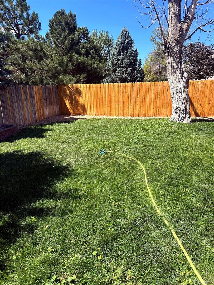 MLS Image #7 for 13043  hudson street,thornton, Colorado