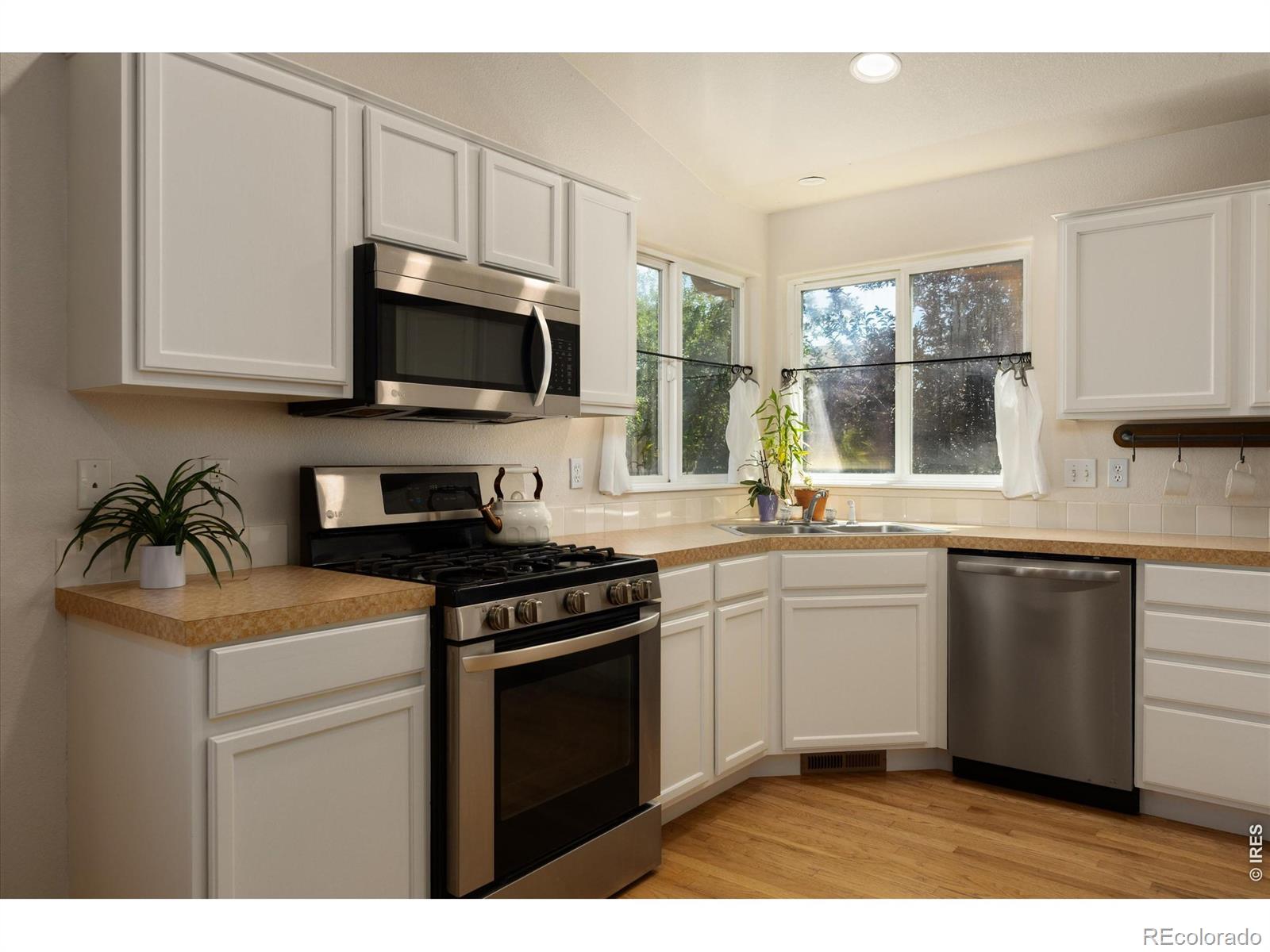 MLS Image #10 for 905  scotch pine drive,severance, Colorado