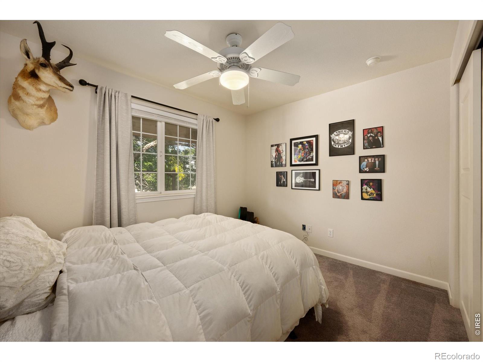 MLS Image #22 for 905  scotch pine drive,severance, Colorado