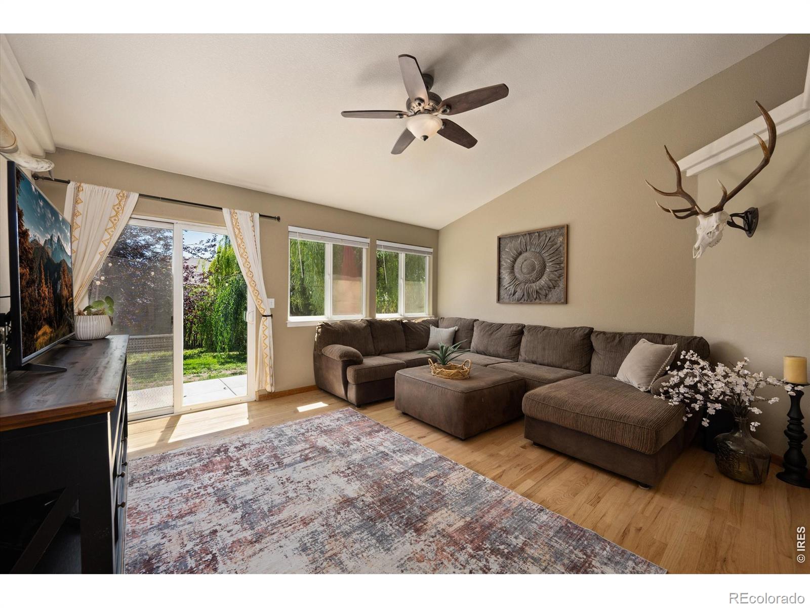 MLS Image #5 for 905  scotch pine drive,severance, Colorado