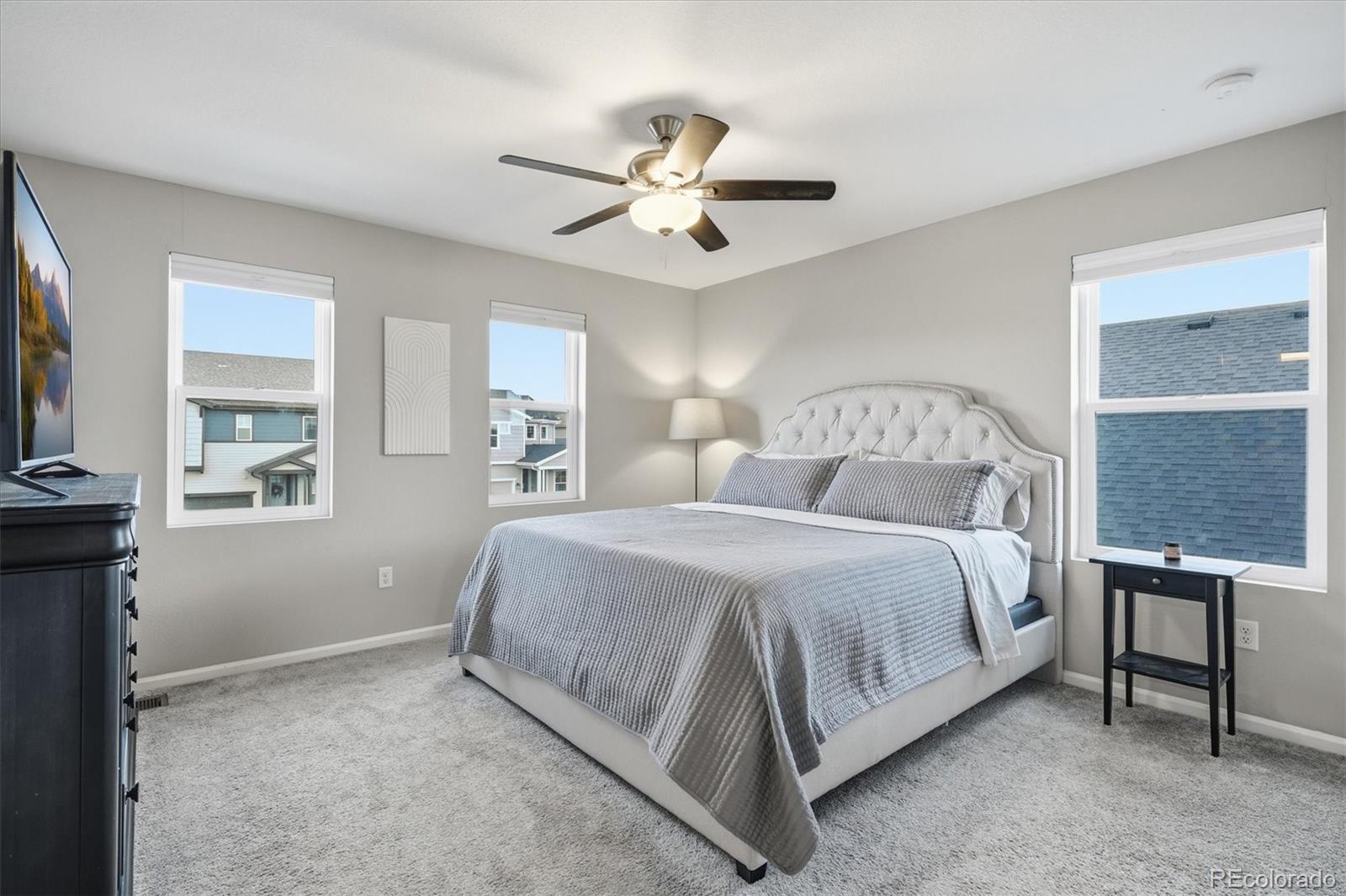MLS Image #24 for 8029  adams fork avenue,littleton, Colorado