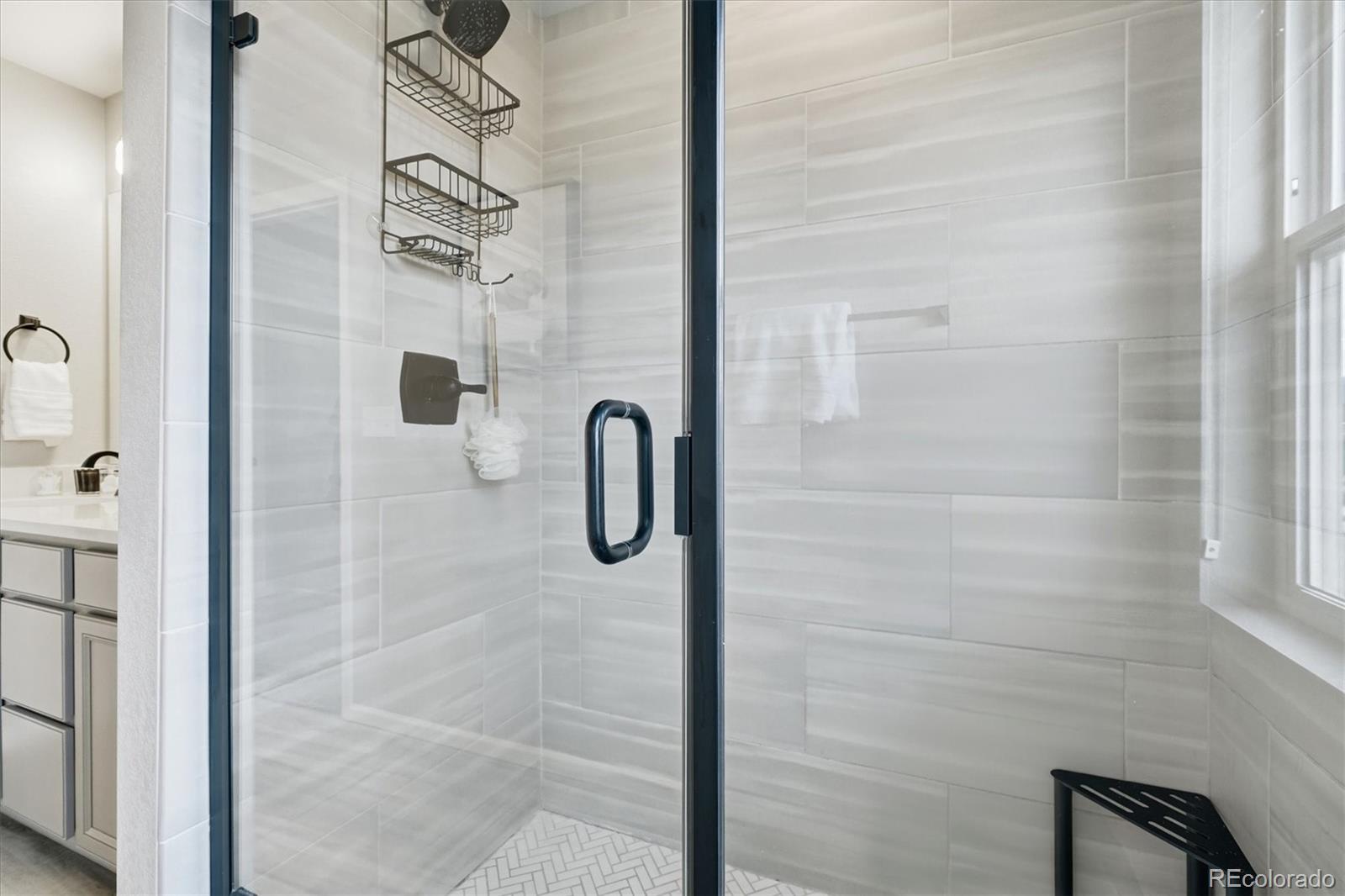 MLS Image #27 for 8029  adams fork avenue,littleton, Colorado