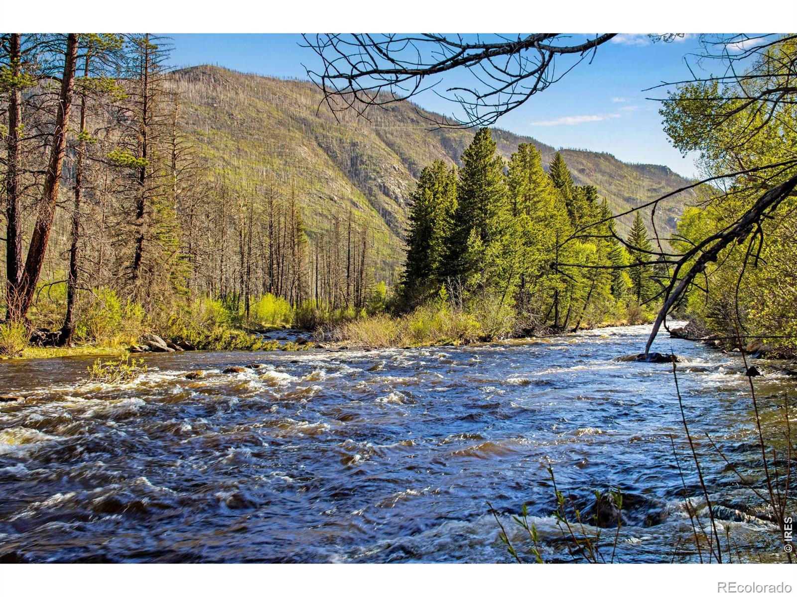 MLS Image #1 for 44174  poudre canyon road,bellvue, Colorado