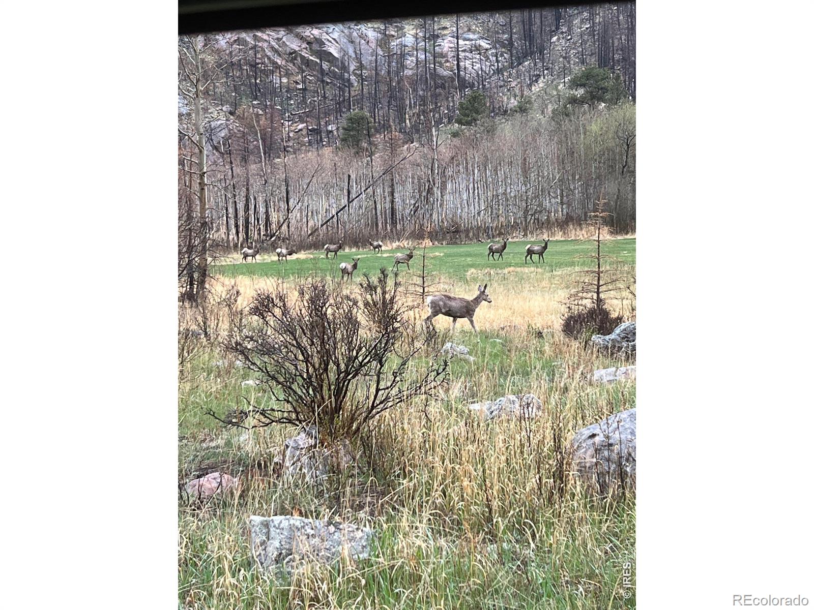 MLS Image #46 for 44174  poudre canyon road,bellvue, Colorado