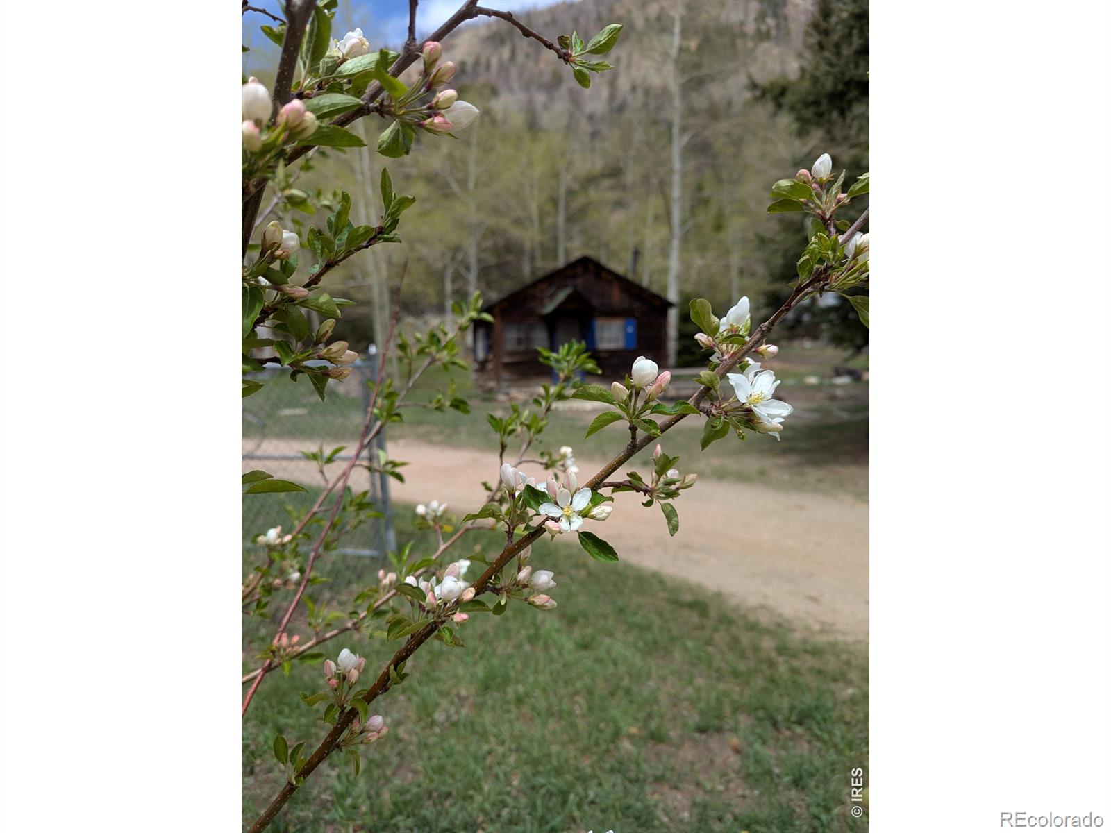 MLS Image #47 for 44174  poudre canyon road,bellvue, Colorado