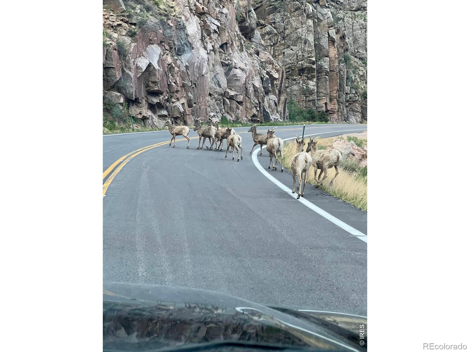 MLS Image #48 for 44174  poudre canyon road,bellvue, Colorado