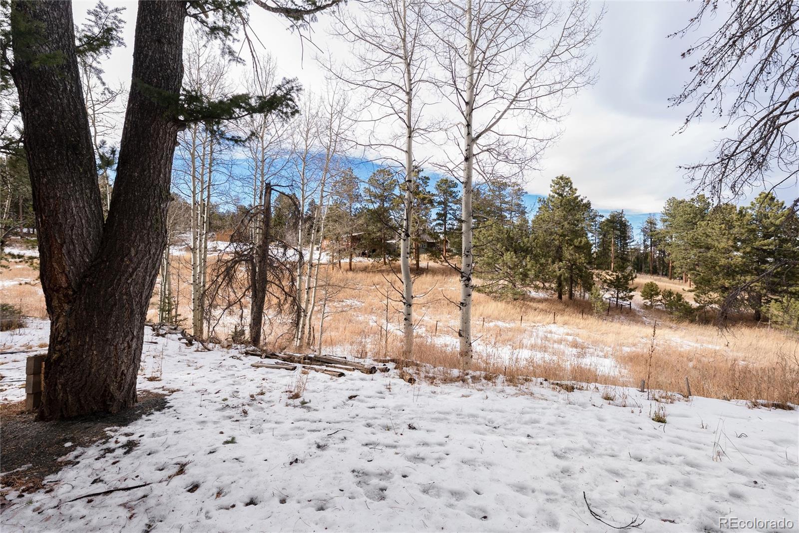 MLS Image #31 for 10783  fox trot lane,conifer, Colorado