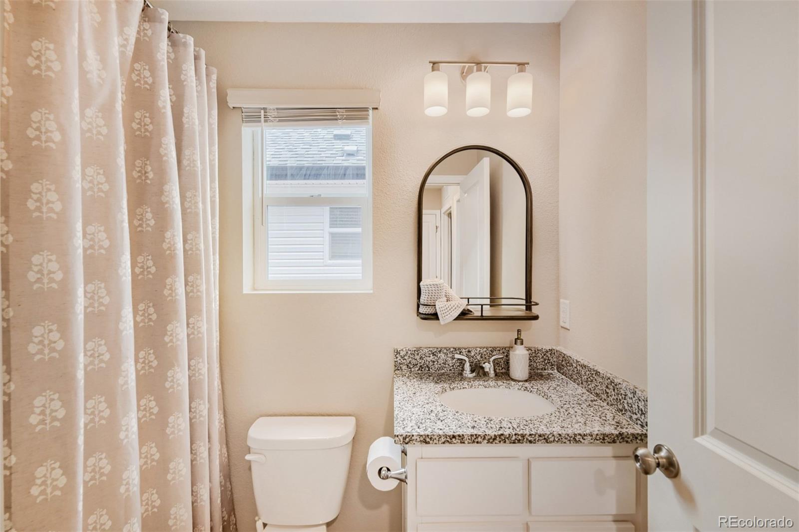 MLS Image #10 for 18057 e 51st avenue,denver, Colorado