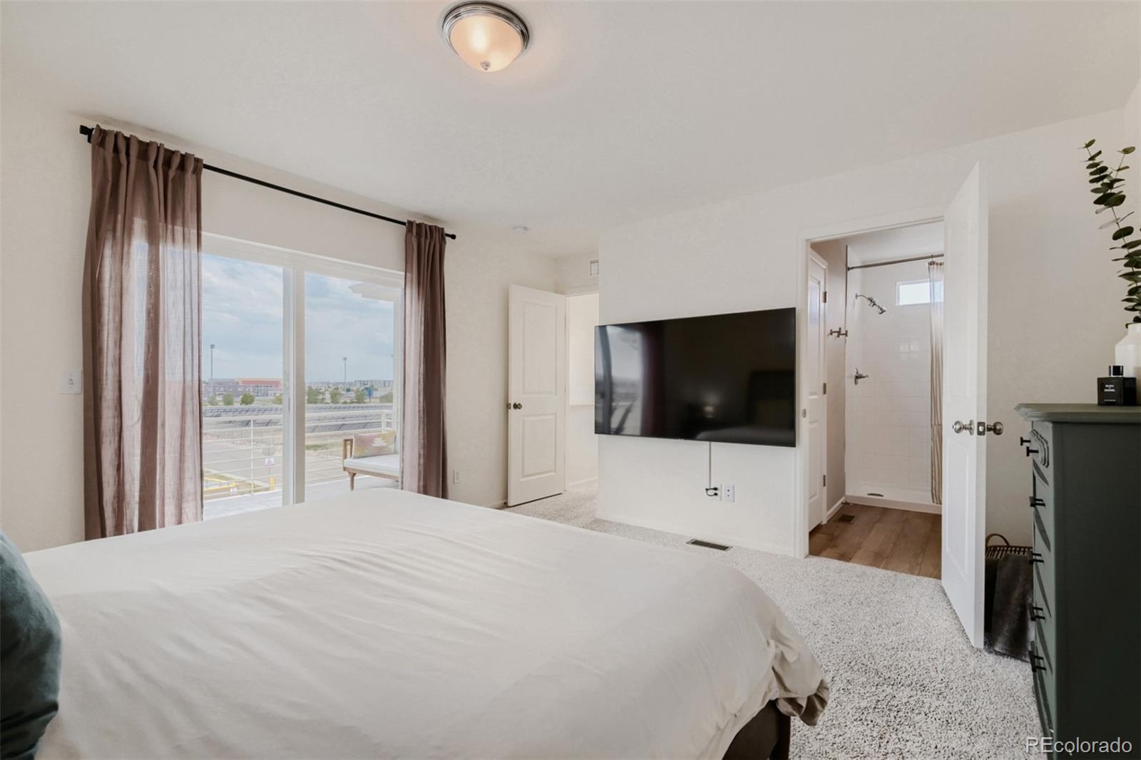 MLS Image #16 for 18057 e 51st avenue,denver, Colorado