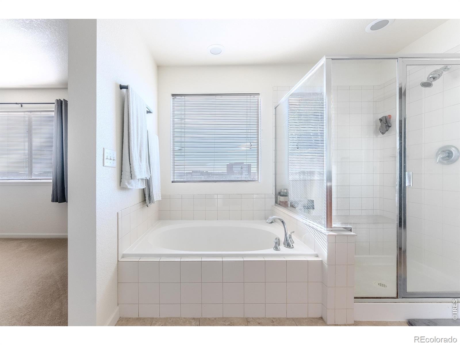 MLS Image #19 for 502 w 169th place,broomfield, Colorado