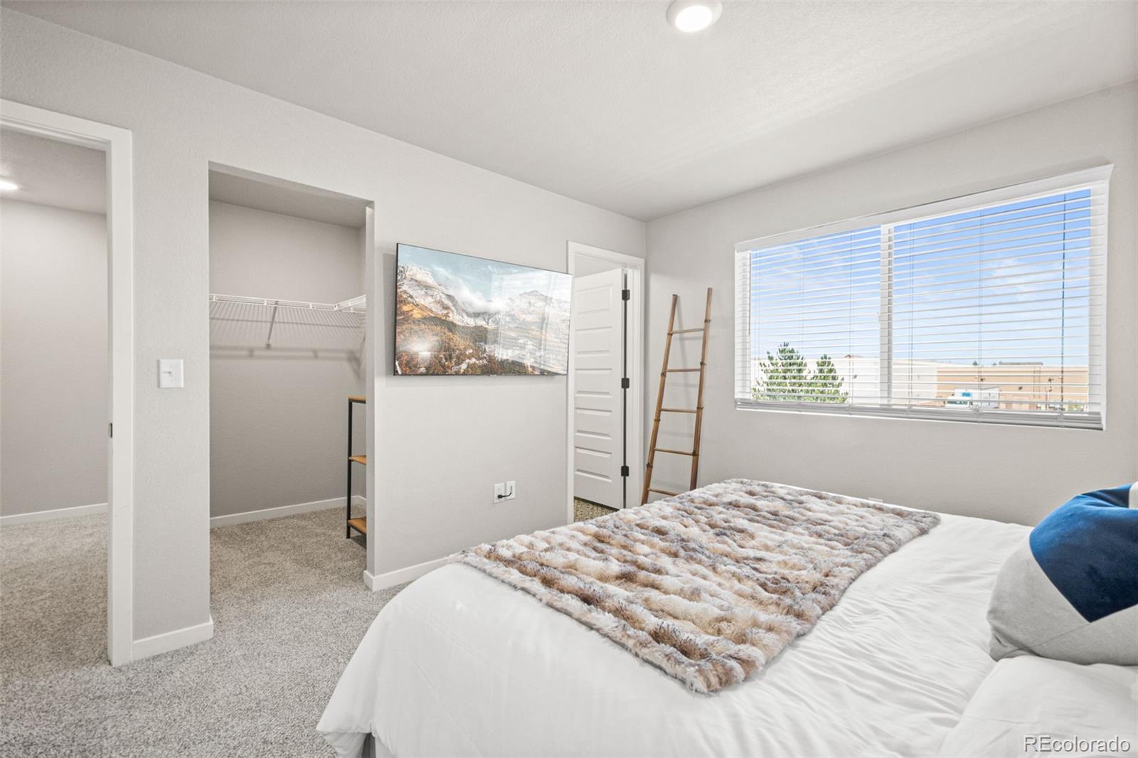 MLS Image #14 for 1353  reynolds street,fort lupton, Colorado