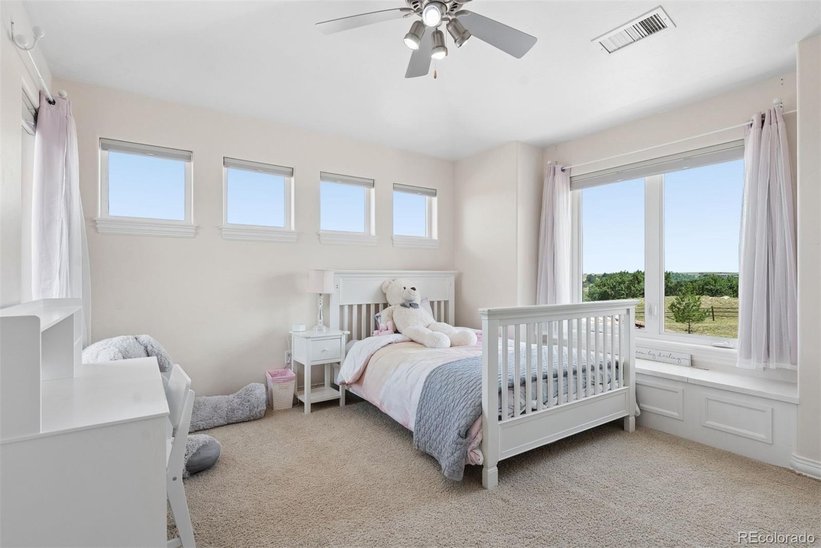 MLS Image #25 for 8926  ridgepoint way,castle pines, Colorado