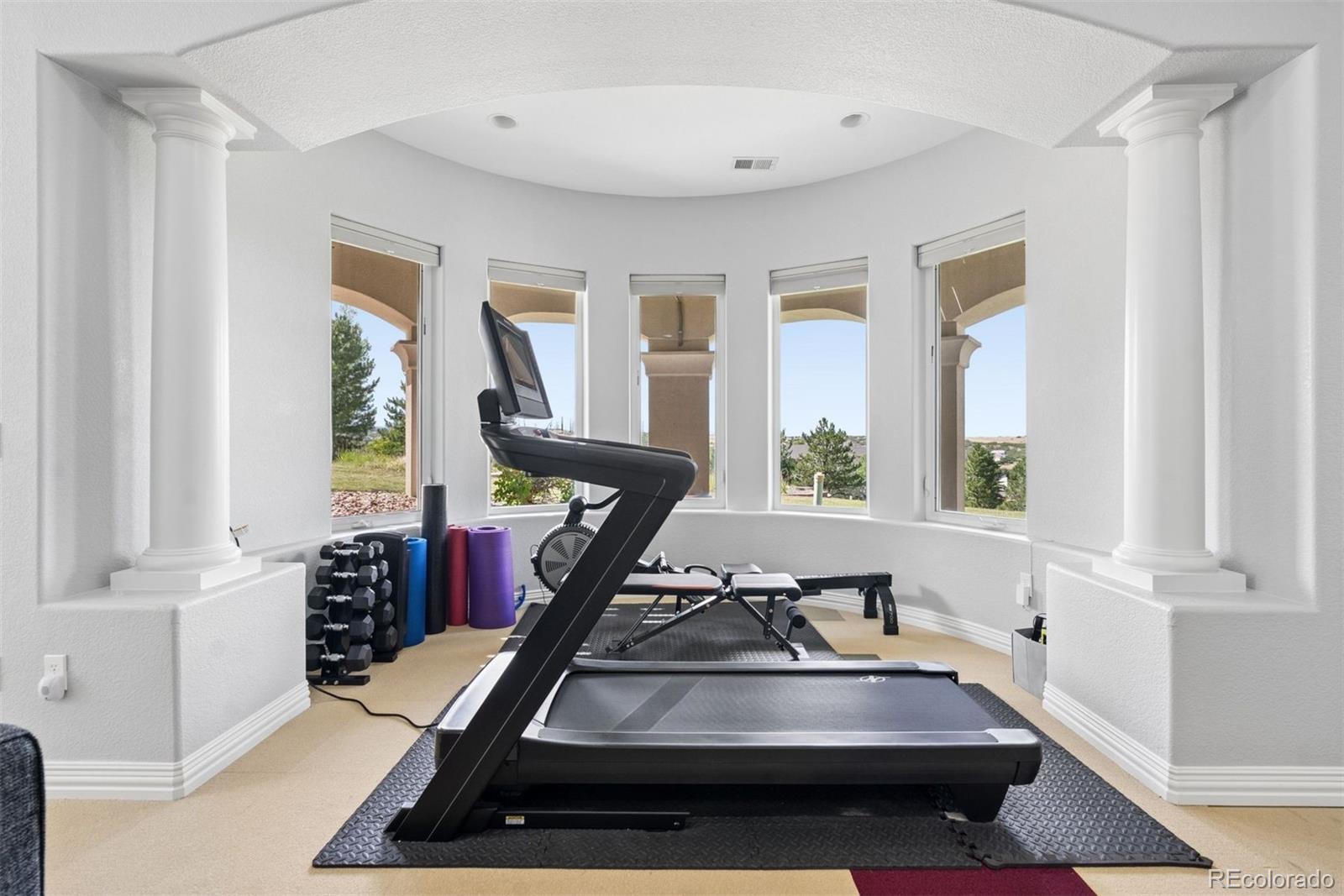 MLS Image #29 for 8926  ridgepoint way,castle pines, Colorado