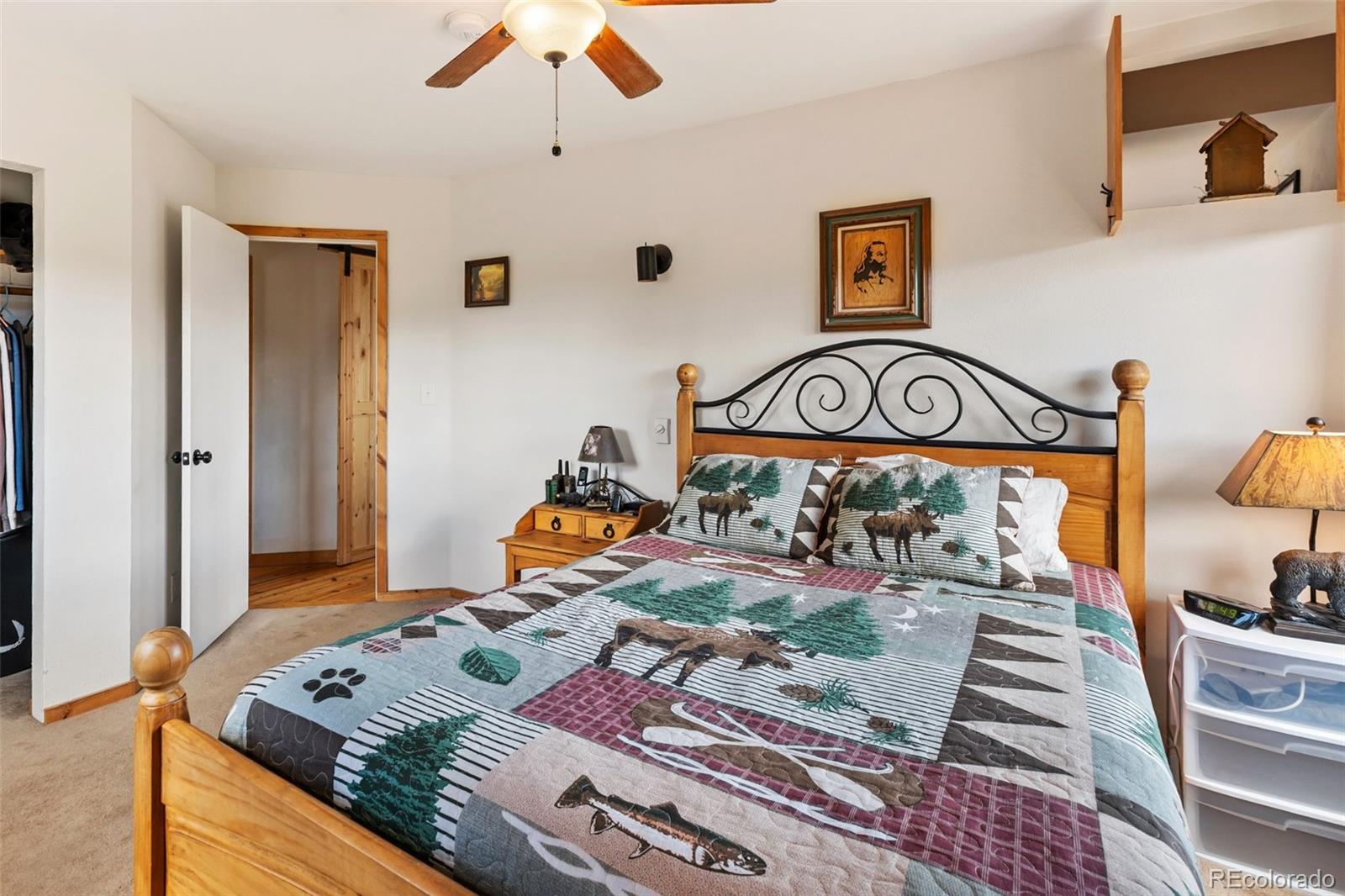 MLS Image #15 for 1807  windmill drive,hartsel, Colorado