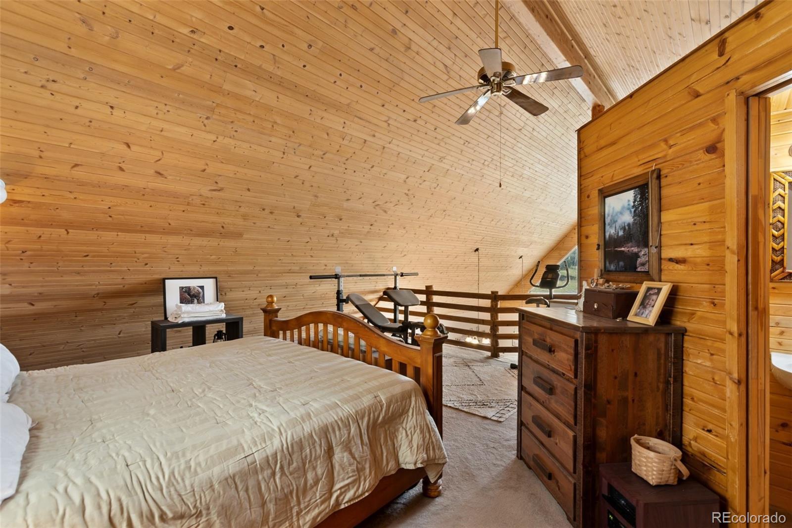 MLS Image #20 for 1807  windmill drive,hartsel, Colorado
